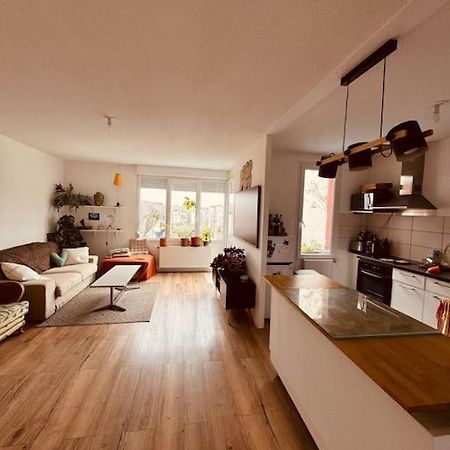 Bel Appartement Proche Mulhouse Pfastatt ภายนอก รูปภาพ