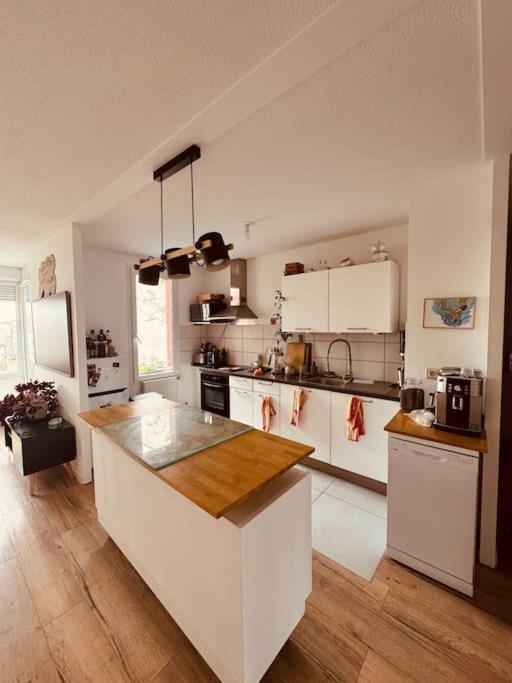 Bel Appartement Proche Mulhouse Pfastatt ภายนอก รูปภาพ