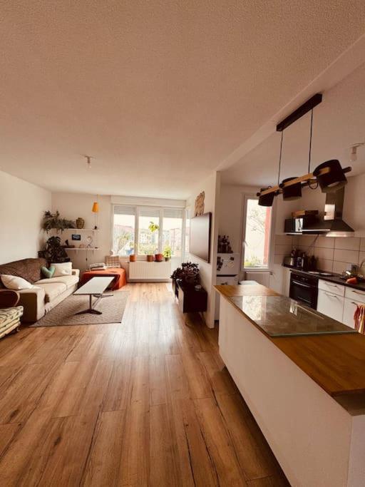 Bel Appartement Proche Mulhouse Pfastatt ภายนอก รูปภาพ